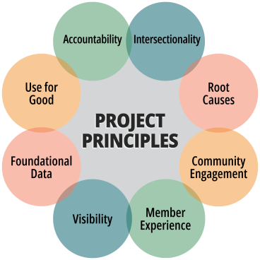 Principles of the Medicaid Equity Monitoring Tool Project.