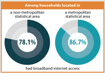 metro non metro internet access chart. data in text.