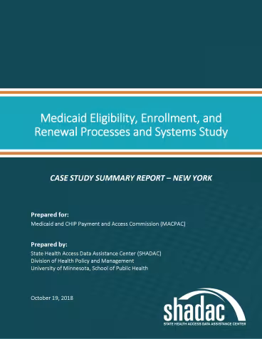New York summary report cover page