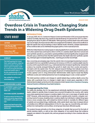 State opioid brief cover page, preview