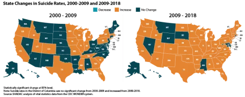 Suicide rates in the US change over time and by state displayed on a geographical map in the years 2000 - 2009 and 2009 - 2018.