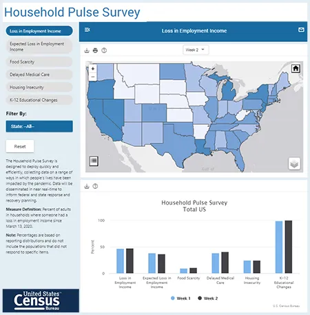 Household pulse survey dashboard preview.