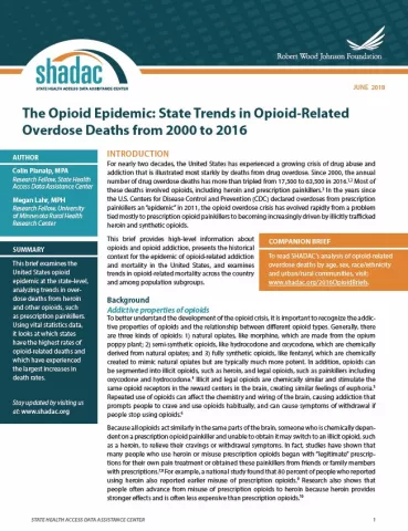 Brief cover page, titled, "The Opioid Epidemic: National Trends in Opioid-Related Overdose Deaths from 2000 to 2016"